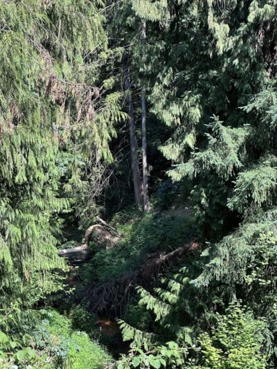 Dickinson Park - Lynden, WA