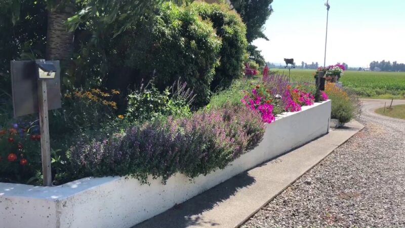 Oostema Farmstead – Scenic, Quiet RV Camping and Vacation Rentals - Lynden, WA