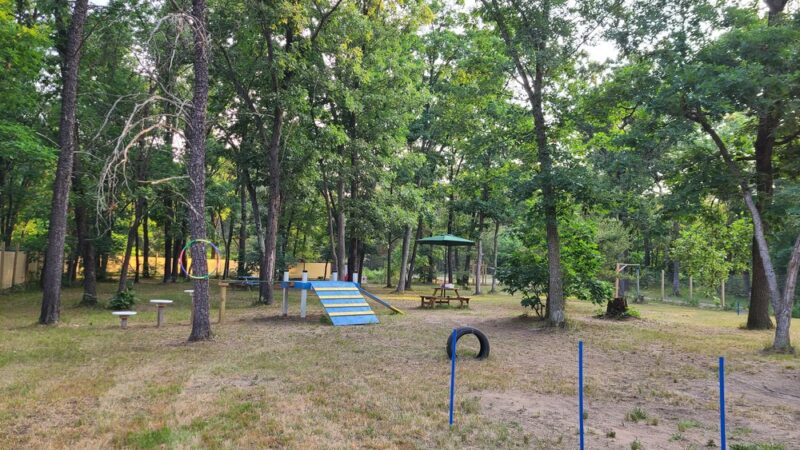 People and Paws Private Reserved Dog Play Park - Lyndon Station, WI