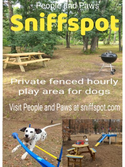 People and Paws Private Reserved Dog Play Park - Lyndon Station, WI