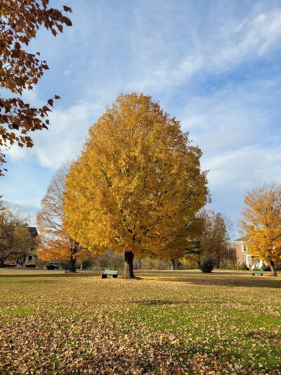Bandstand Park - Lyndonville, VT