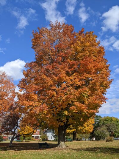 Bandstand Park - Lyndonville, VT