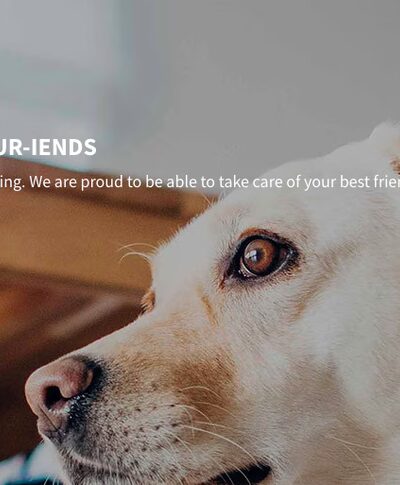 Kingdom Canine Center - Lyndonville, VT