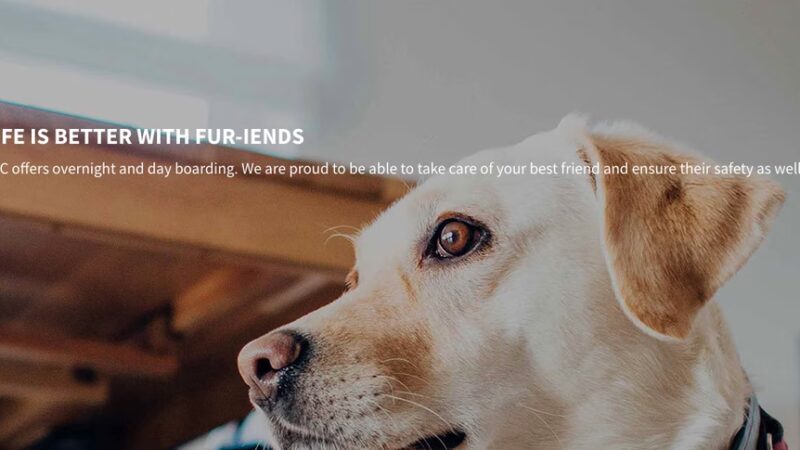 Kingdom Canine Center - Lyndonville, VT