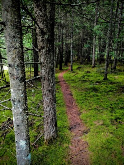 Lyndon State Forest Trailhead & Parking - Lyndonville, VT