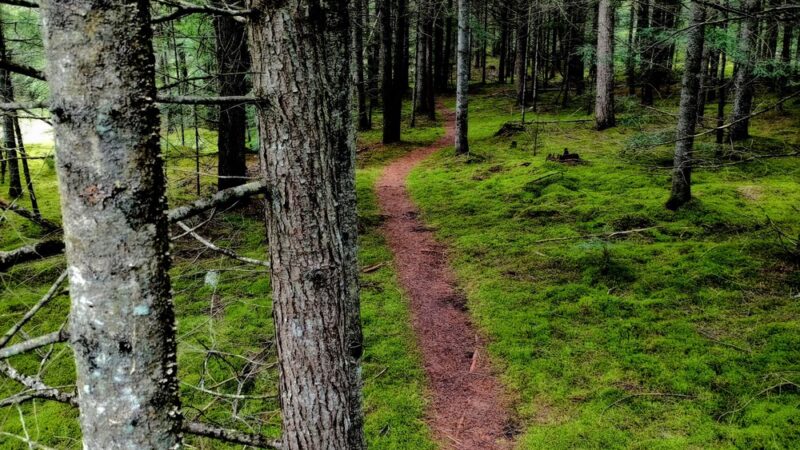 Lyndon State Forest Trailhead & Parking - Lyndonville, VT