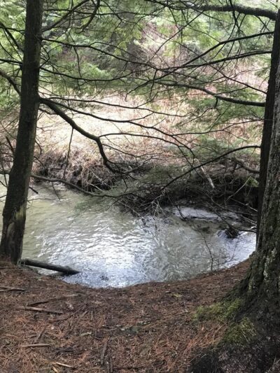Lyndon State Forest Trailhead & Parking - Lyndonville, VT