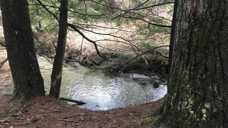 Lyndon State Forest Trailhead & Parking - Lyndonville, VT