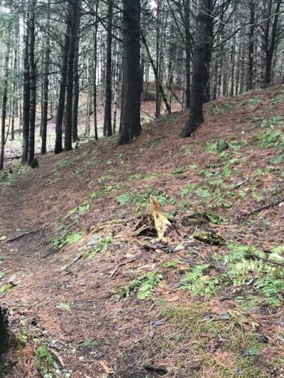 Lyndon State Forest Trailhead & Parking - Lyndonville, VT