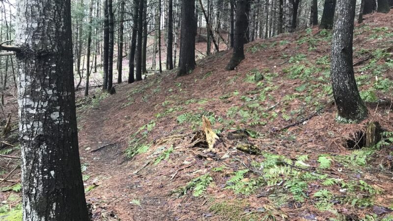 Lyndon State Forest Trailhead & Parking - Lyndonville, VT