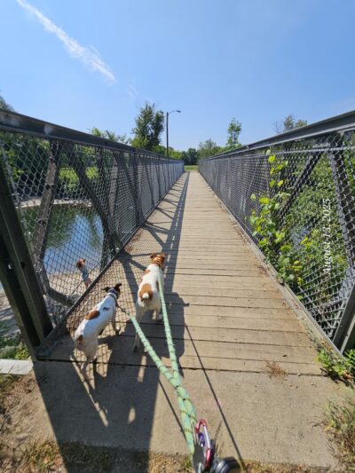 The River Trail - Lyndonville, VT