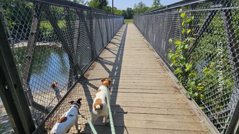 The River Trail - Lyndonville, VT