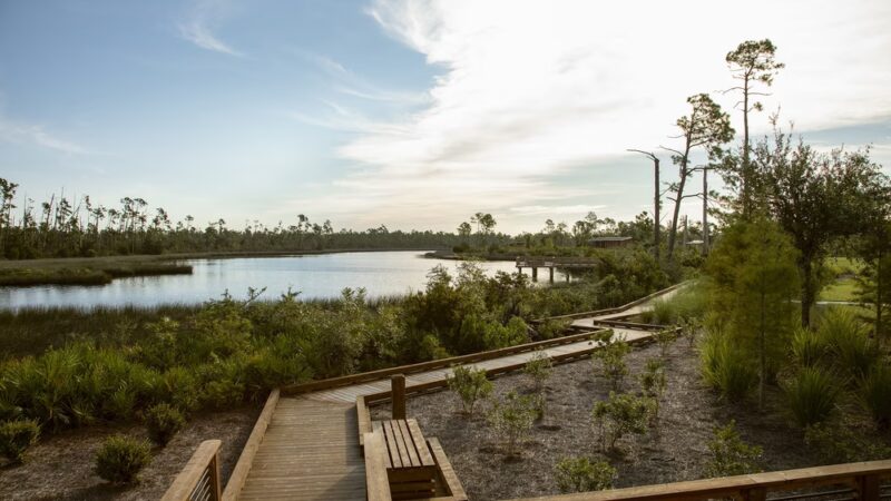Lynn Haven Bayou Park & Preserve - Lynn Haven, FL