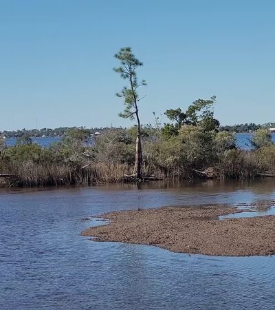 Lynn Haven Bayou Park & Preserve - Lynn Haven, FL