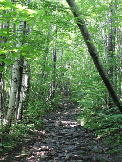 Lyon Mountain Firetower Trail Head Parking - Lyon Mountain, NY