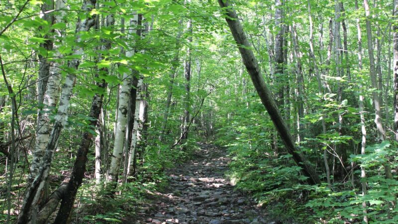 Lyon Mountain Firetower Trail Head Parking - Lyon Mountain, NY