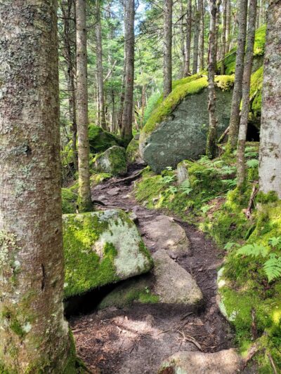 Lyon Mountain Firetower Trail Head Parking - Lyon Mountain, NY