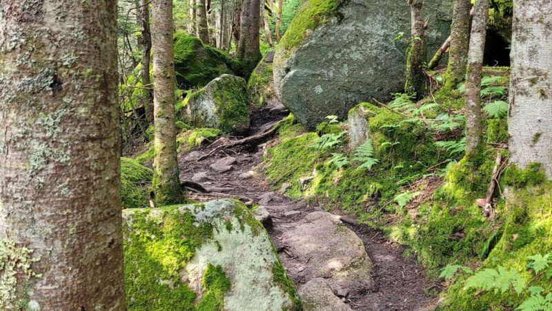 Lyon Mountain Firetower Trail Head Parking - Lyon Mountain, NY