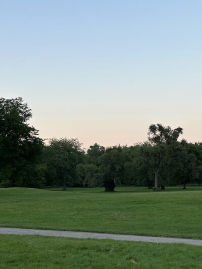 Cermak Woods - Lyons, IL