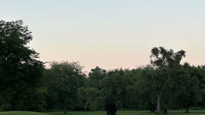Cermak Woods - Lyons, IL