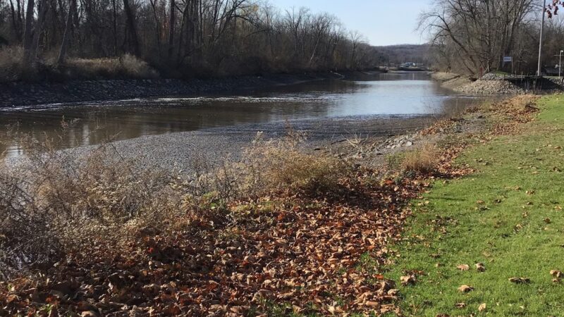 Abbey Park - Lyons, NY