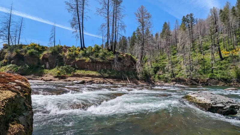 North Fork Park Lyons - Lyons, OR