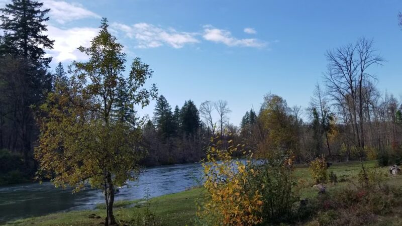 North Santiam State Recreation Area - Lyons, OR