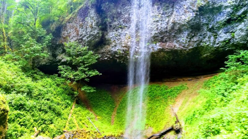 North Santiam State Recreation Area - Lyons, OR