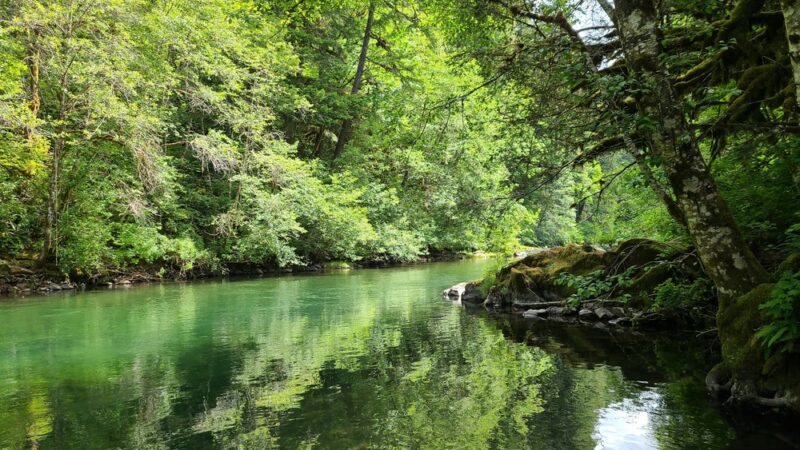 Bear Creek County Park - Lyons, OR