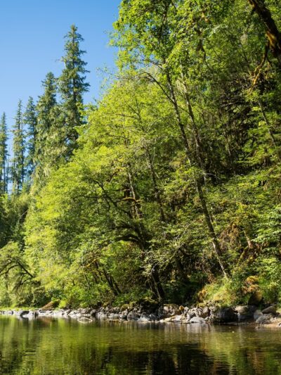 Bear Creek County Park - Lyons, OR