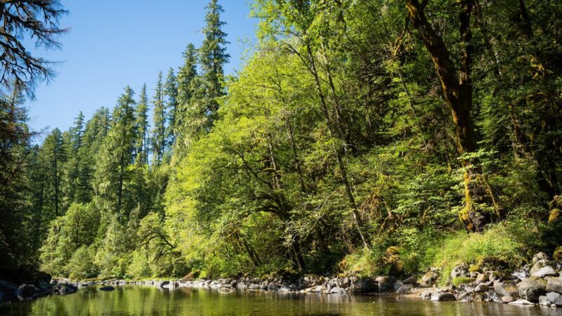 Bear Creek County Park - Lyons, OR