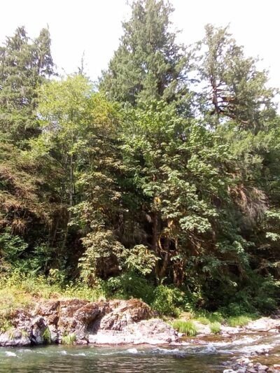 Bear Creek County Park - Lyons, OR