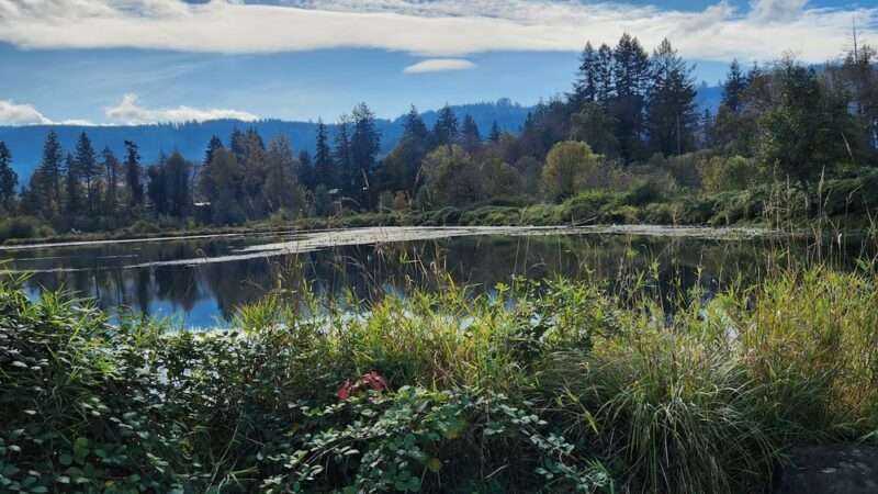 Freres Park - Lyons City Park - Lyons, OR
