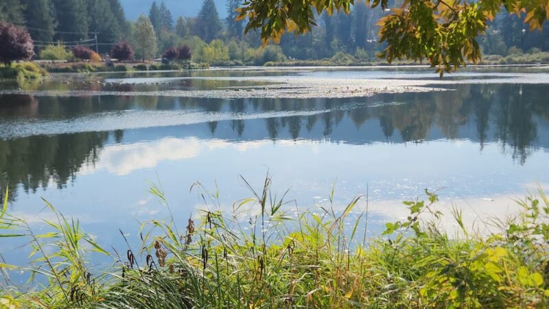 Freres Park - Lyons City Park - Lyons, OR