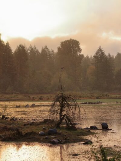 Freres Park - Lyons City Park - Lyons, OR