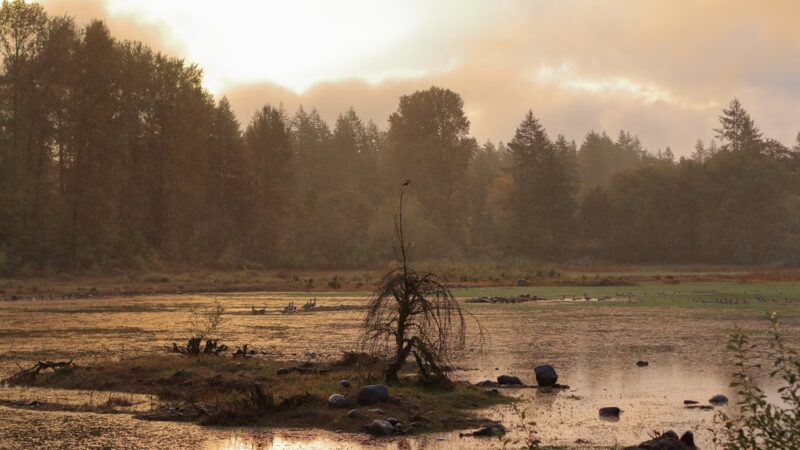Freres Park - Lyons City Park - Lyons, OR
