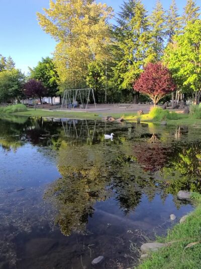John Neal Memorial Park - Lyons, OR