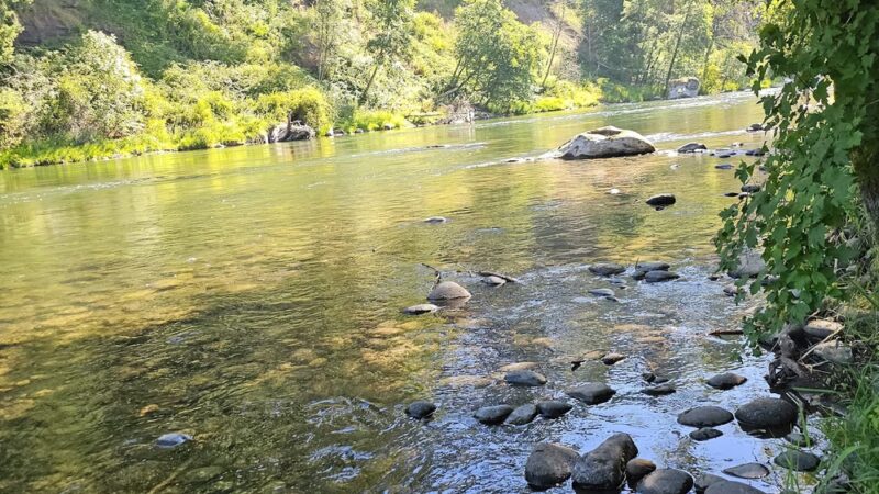 John Neal Memorial Park - Lyons, OR