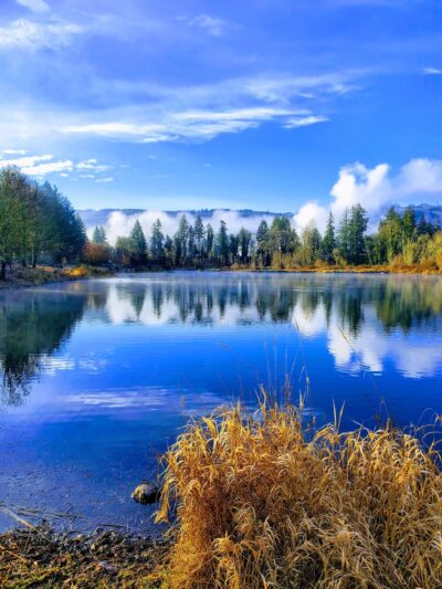 John Neal Memorial Park - Lyons, OR