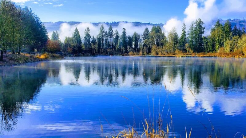John Neal Memorial Park - Lyons, OR