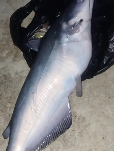 Riverview Park - Mableton, GA