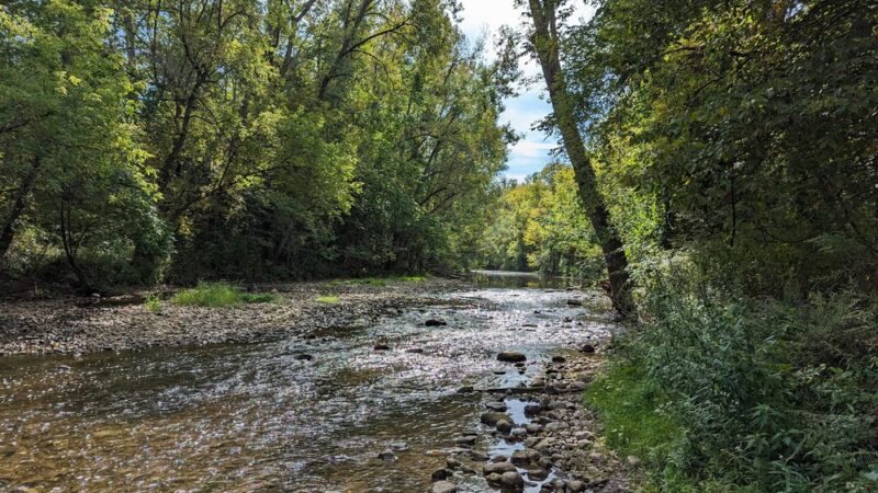 Ganargua Creek Meadow Preserve - Macedon, NY