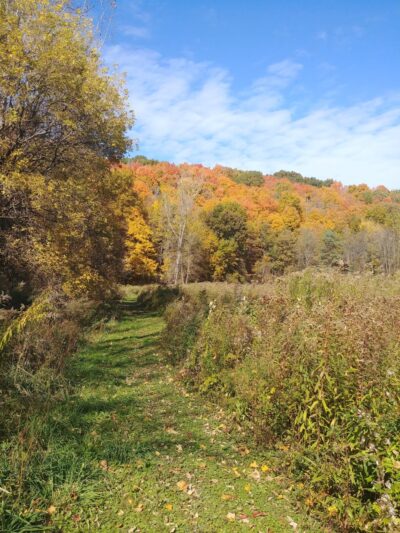 Ganargua Creek Meadow Preserve - Macedon, NY