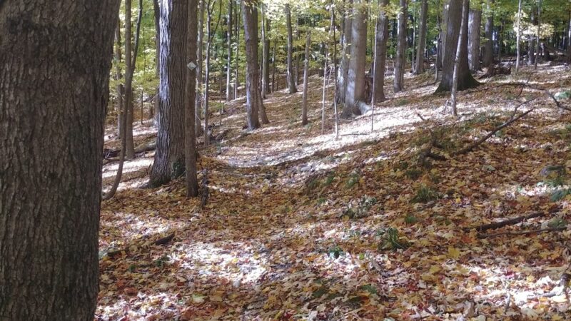 Ganargua Creek Meadow Preserve - Macedon, NY