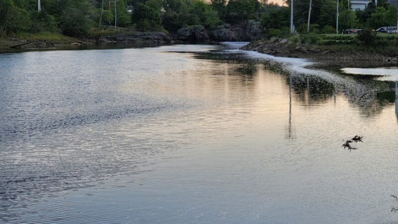 Machias River Preserve - Machias, ME