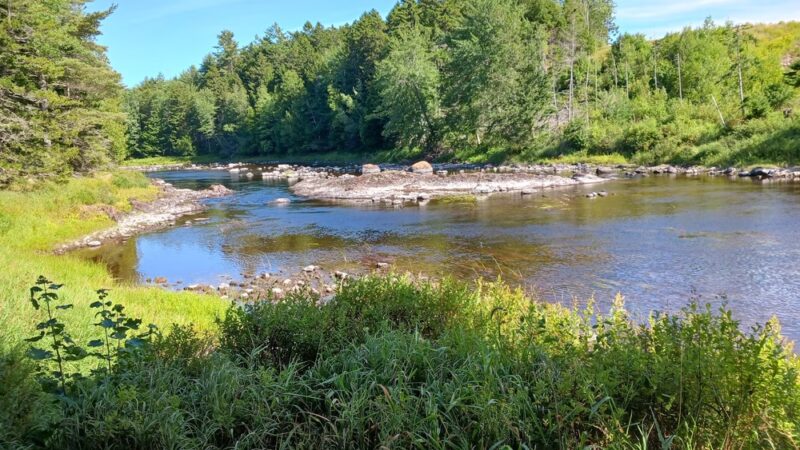 Machias River Preserve - Machias, ME