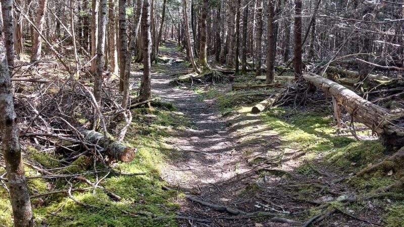Machias River Preserve - Machias, ME