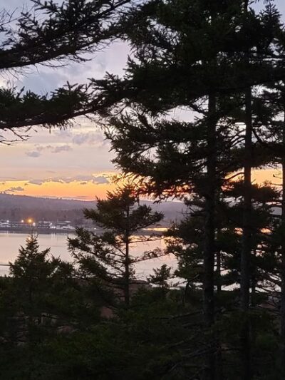 Meserve Head Preserve - Machias, ME