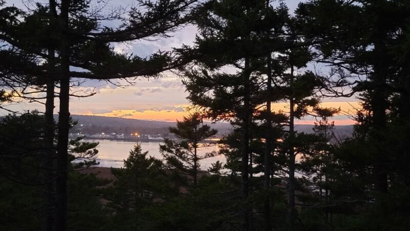 Meserve Head Preserve - Machias, ME