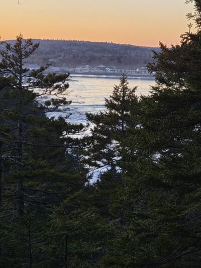 Meserve Head Preserve - Machias, ME